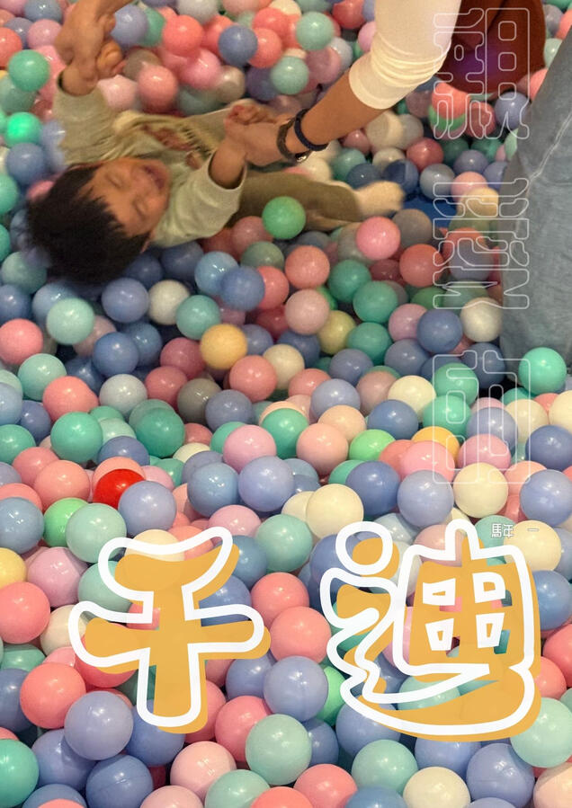 ZH (back) Cover
